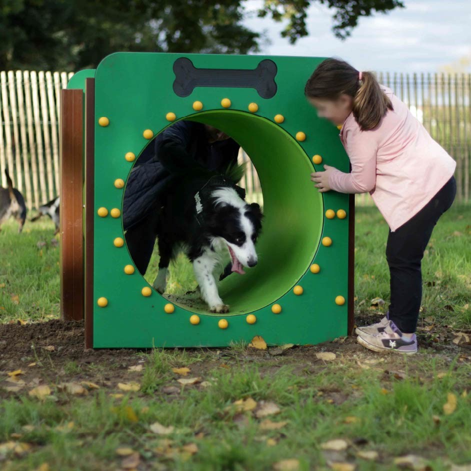 Les Modules AGILITY pour Parcs Canins